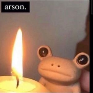 Meet your Posher, Winter